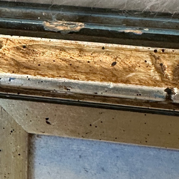 Vintage Oil on Canvas Signed Montrec - Picture 5 of 12